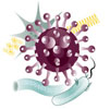 thumbnail of brochure